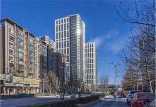 温州道家密藏养生酒有哪些