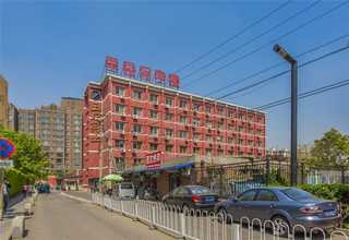 辽宁新会三年陈皮年份